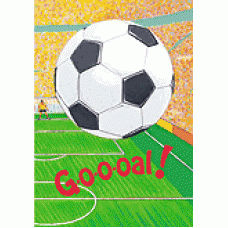 'G-o-o-oal! Soccer'  Personalized Book